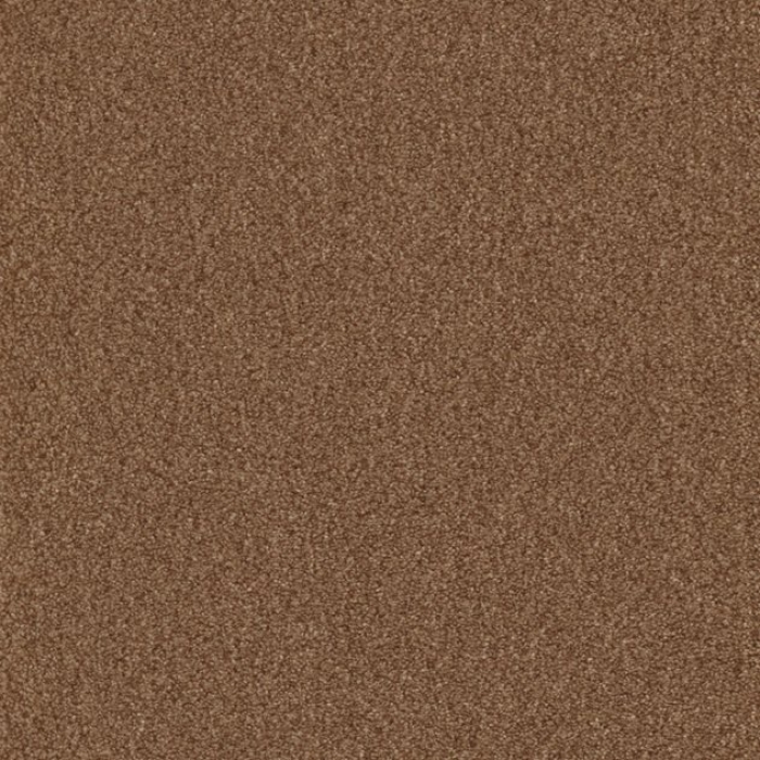 Cello - 231